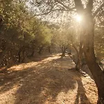 別荘 Avdos' Olive House - Land Tales *