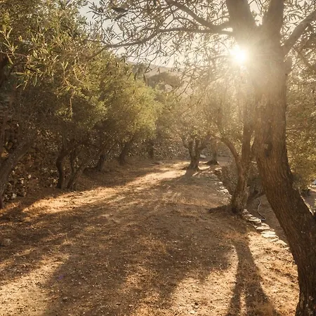 Ferienhaus Avdos Olive House, Off-grid Cycladic Retreat *